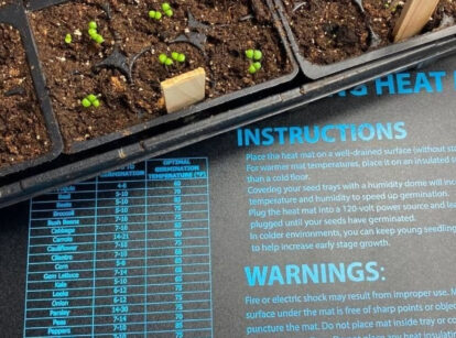 A tray of seedlings grows on a heat mat.