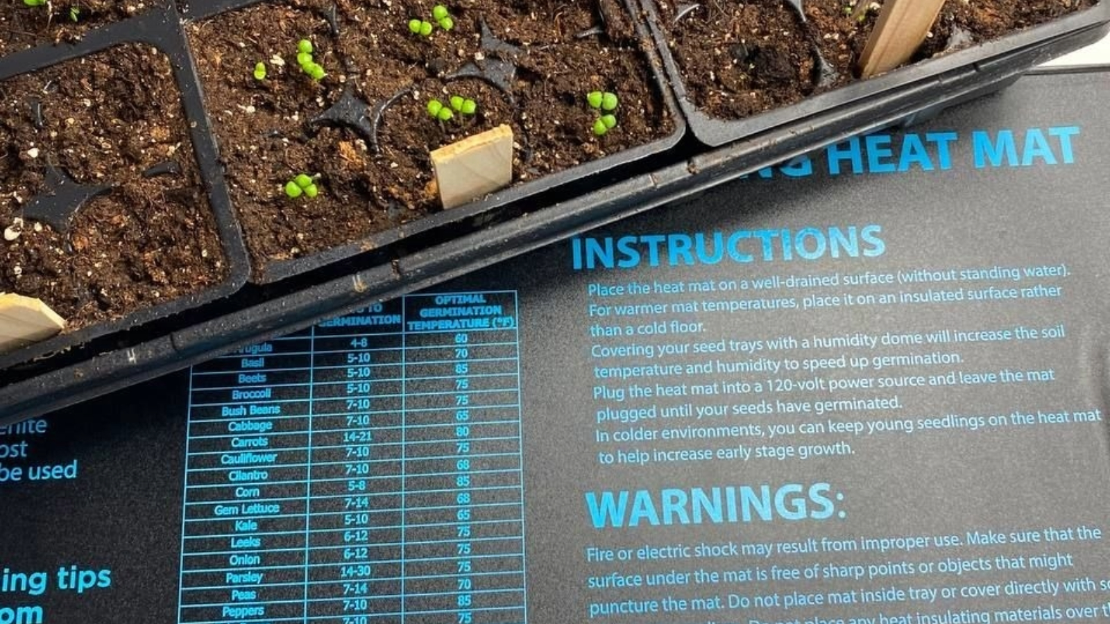 A tray of seedlings grows on a heat mat.