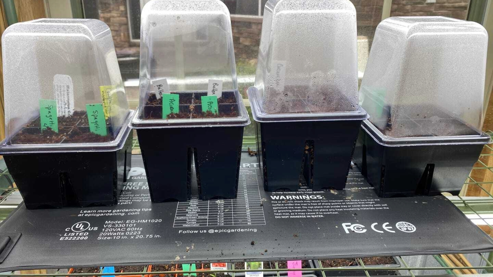 heat mat and seedlings growing in trays with domes. 