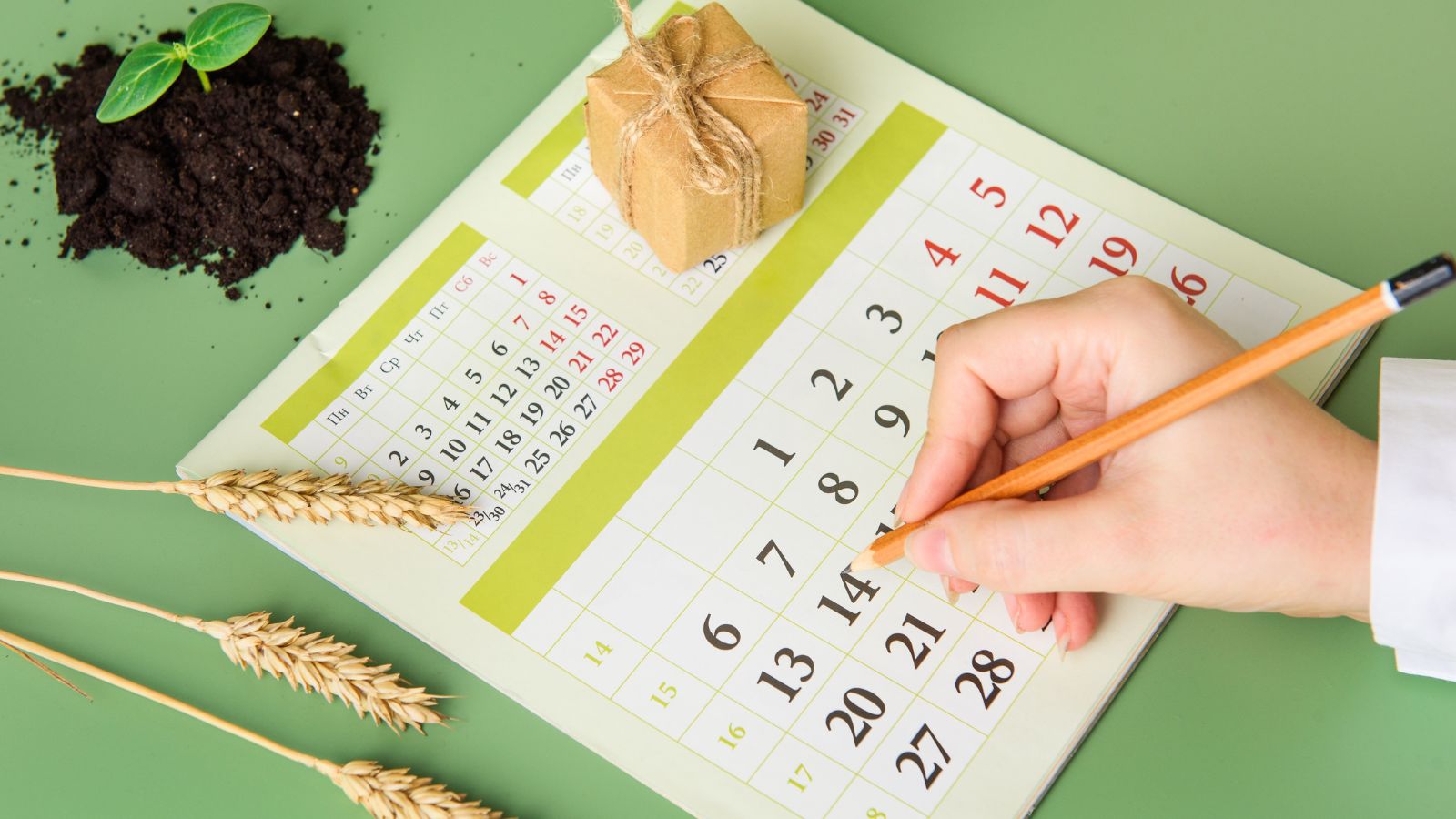 An overhead shot of a person marking dates on a calendar