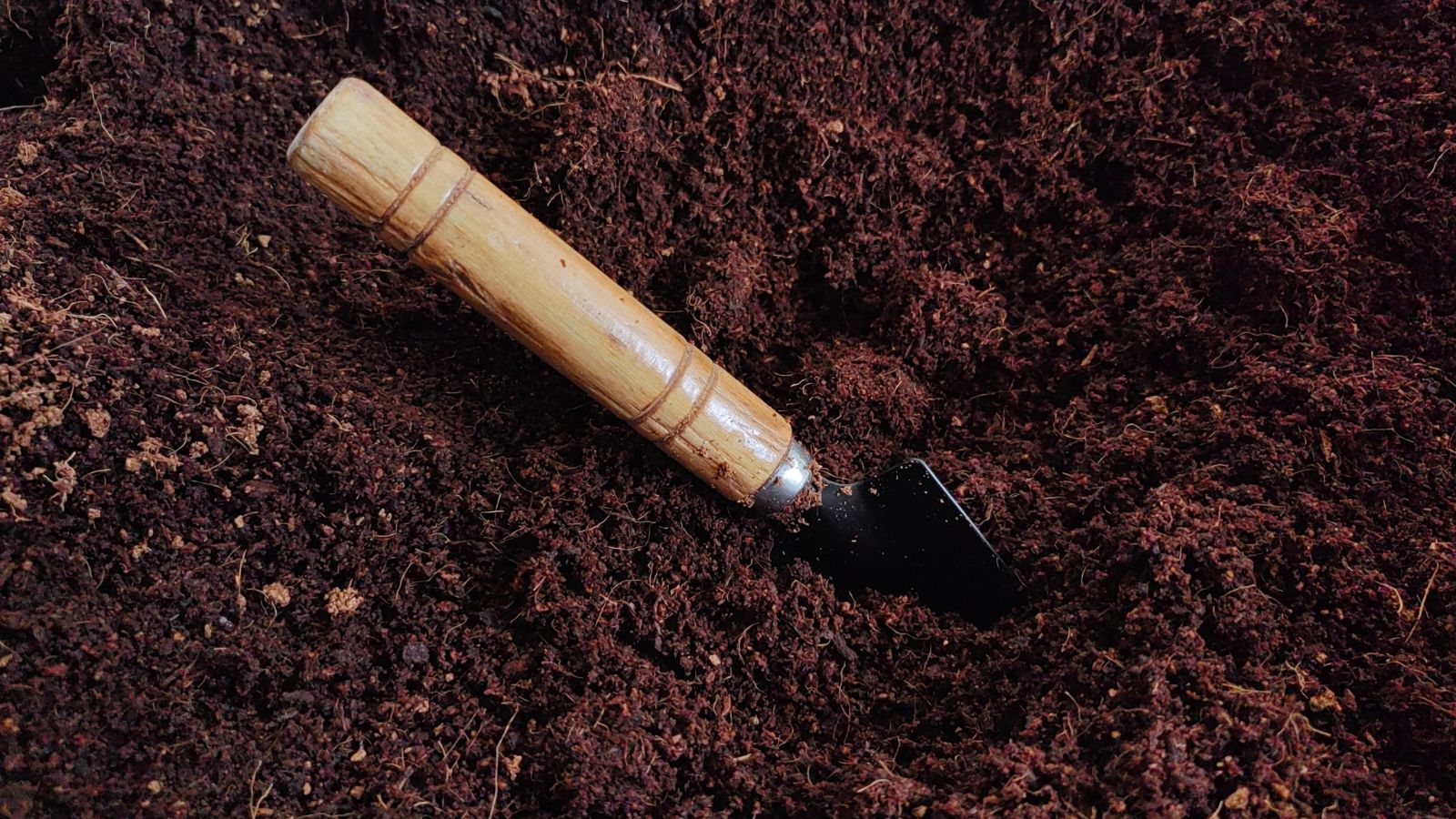 An overhead shot of rich soil and a small garden shovel with a wooden handle all placed in a well lit area outdoors