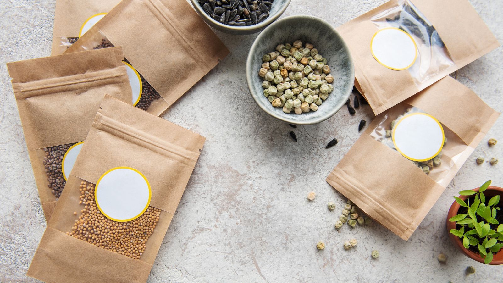 An overhead shot of several packets of seeds alongside other seeds and tools on a stone surface in a well lit area