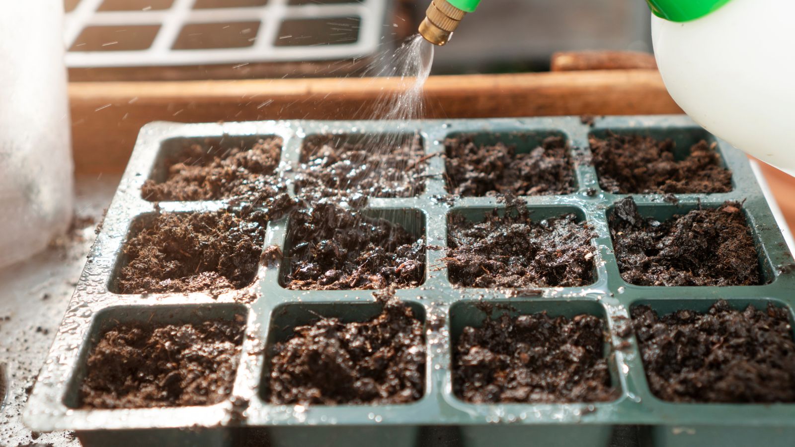 A shot of a tray with soil that is being watered in a well lit area indoors