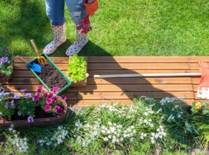 An overhead shot of a person getting ready for March garden tasks