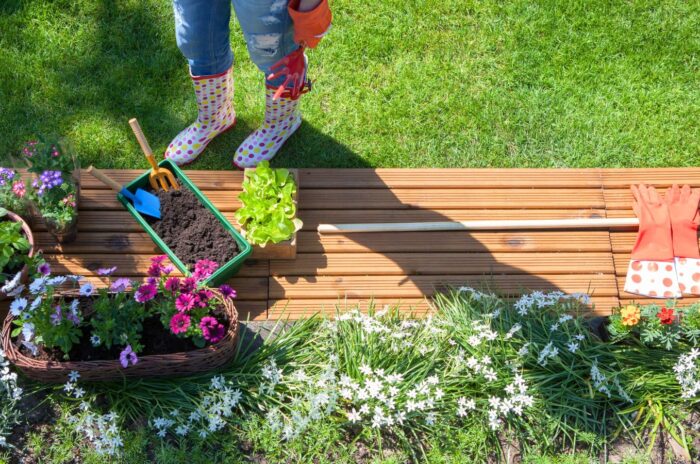 An overhead shot of a person getting ready for March garden tasks